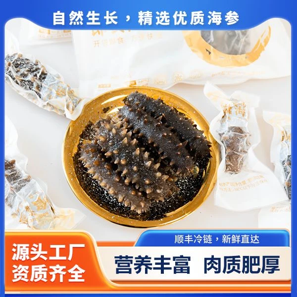 高品质即食海参 营养滋补口感劲道500G*2 一头12-13cm