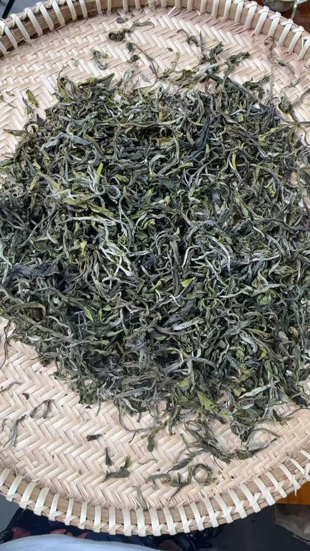 【200】2025年 坝卡 小叶种云南绿茶 散茶