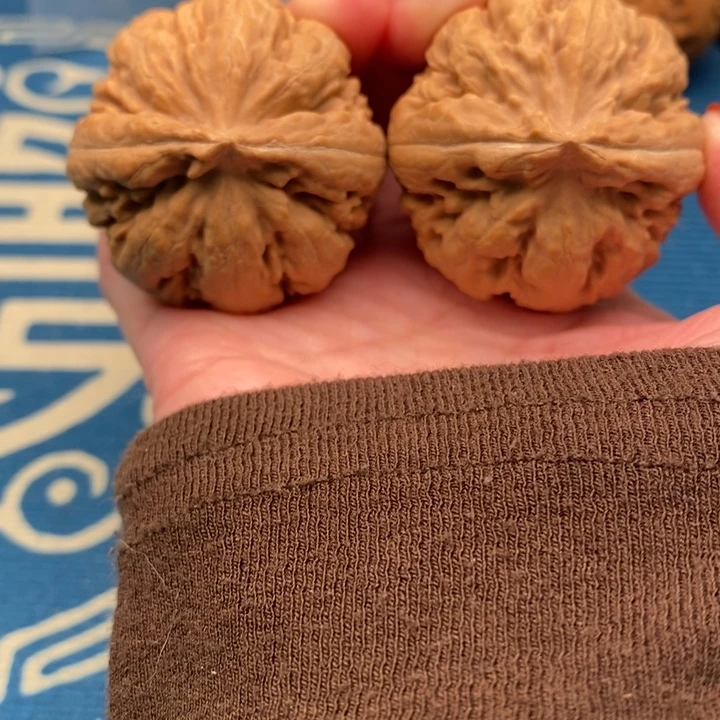 风***舟吊坠文玩核桃文雅密度文玩核桃