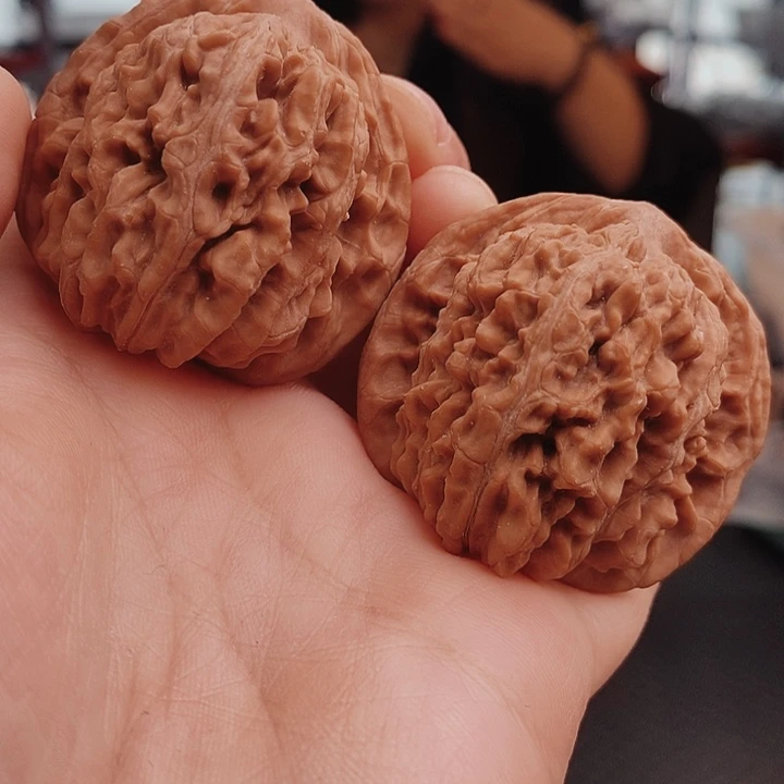 核桃43尺汉高楼核桃