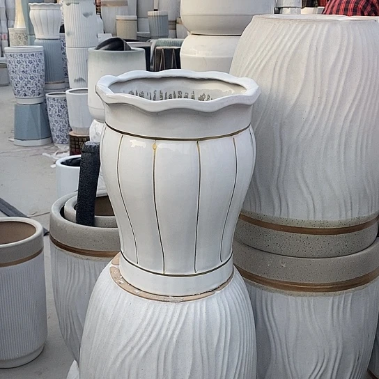 白花口南瓜中口25高32福利