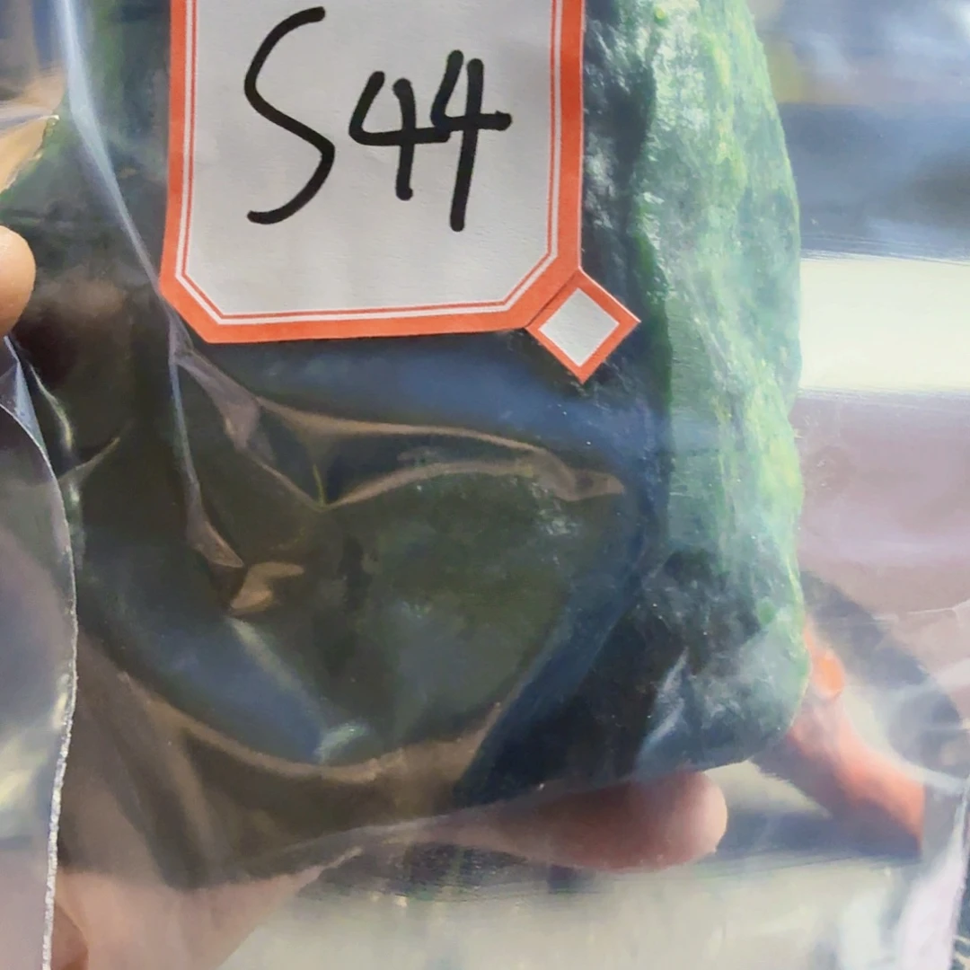 北***晨未镶嵌蛇纹石玉原石料