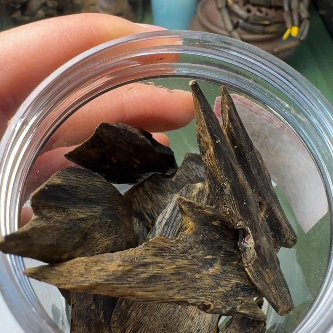 沉香手把件海南陆河高端老师块料41克