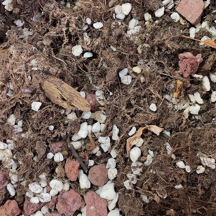 法师专用养护01号