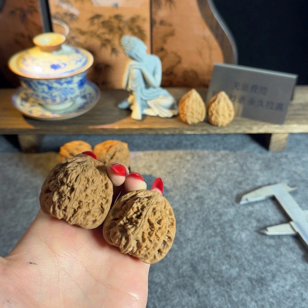 全品4041三角疆老树
