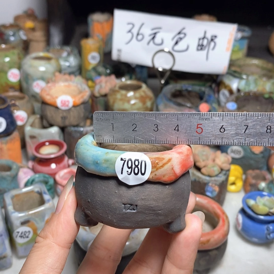 拍3送一个小礼物