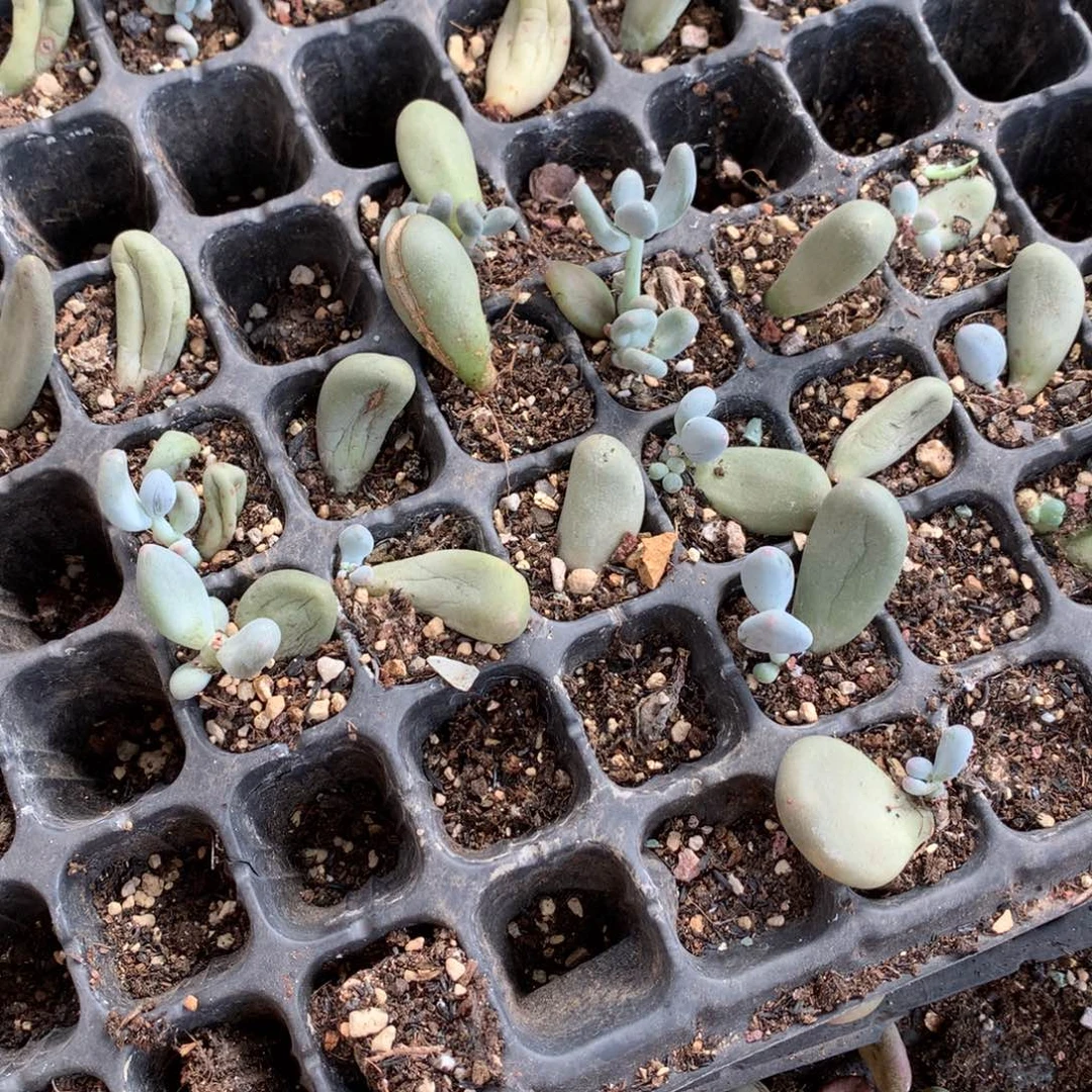 ⌒***ヾ和高后给哈更尴尬。运费