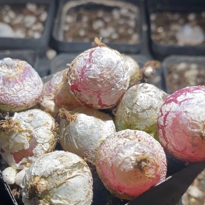 25237有伤一组一组