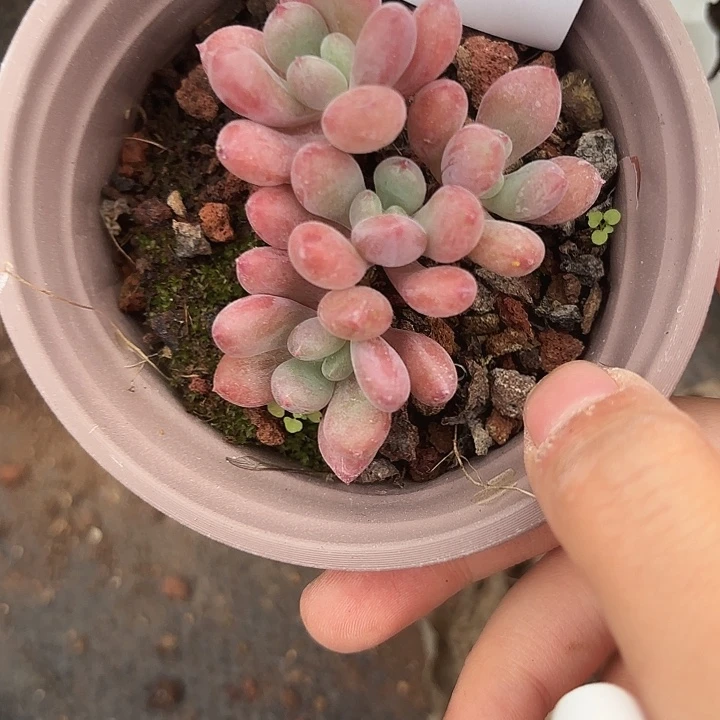 战后304呀呀呀呀呀呀呀