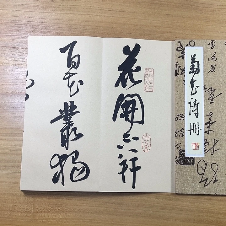 书法中书协会员作品