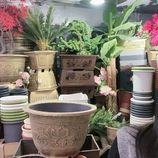 复合盆景8886888655