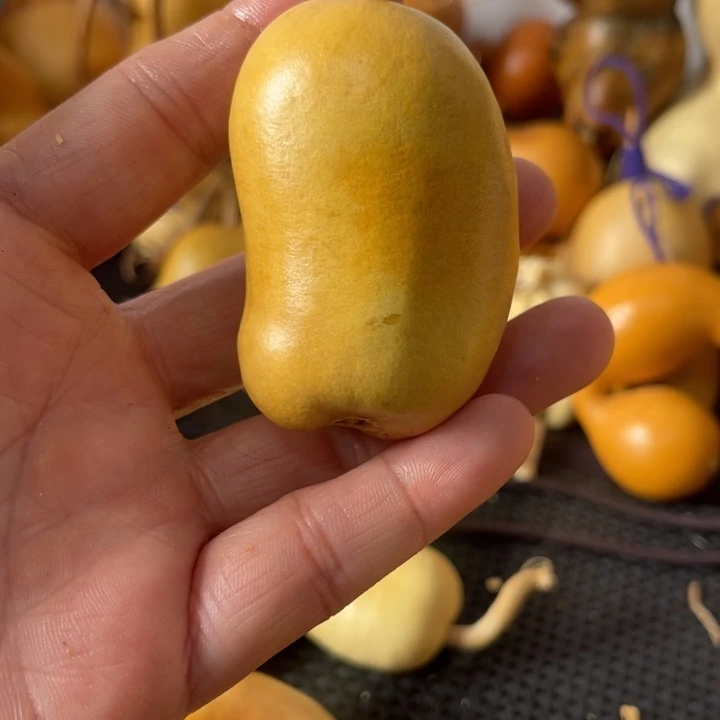 毛***哈葫芦葫哈哈哈哈哈哈哈哈