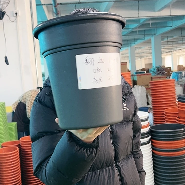 特价翻边口23高25黑色无托5只