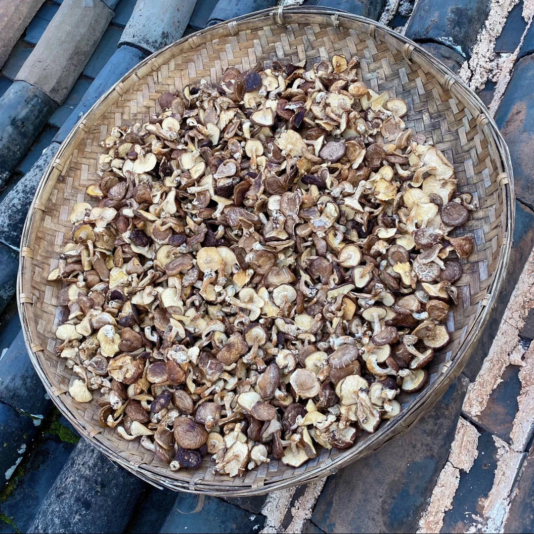 云南香菇  集市现收 农产品
