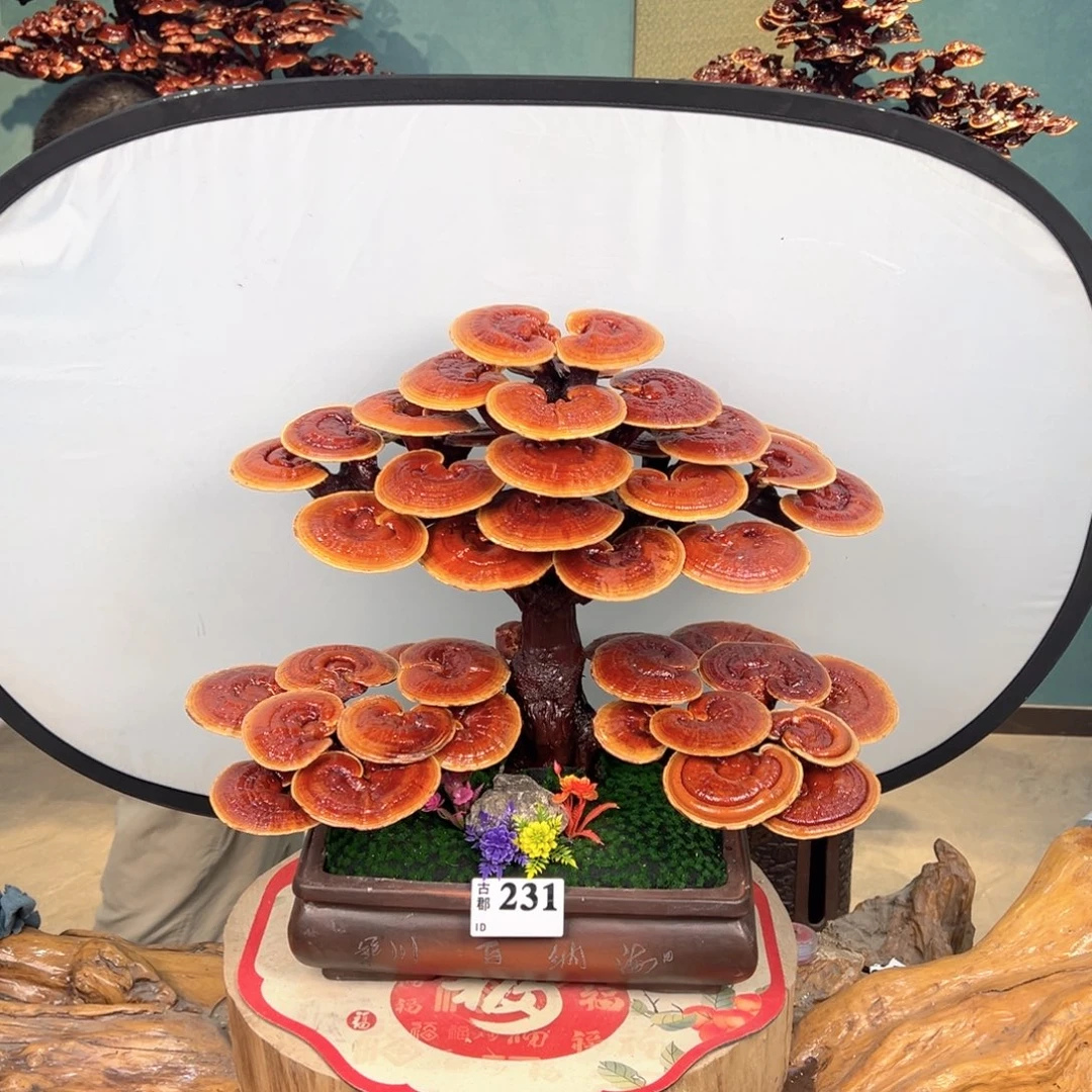 无花朵88888888888