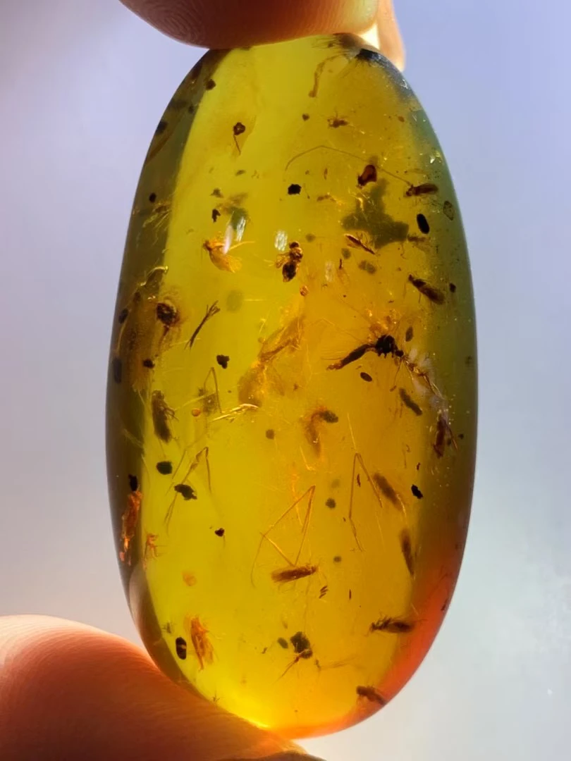 【凯馨珠宝】缅甸天然虫珀