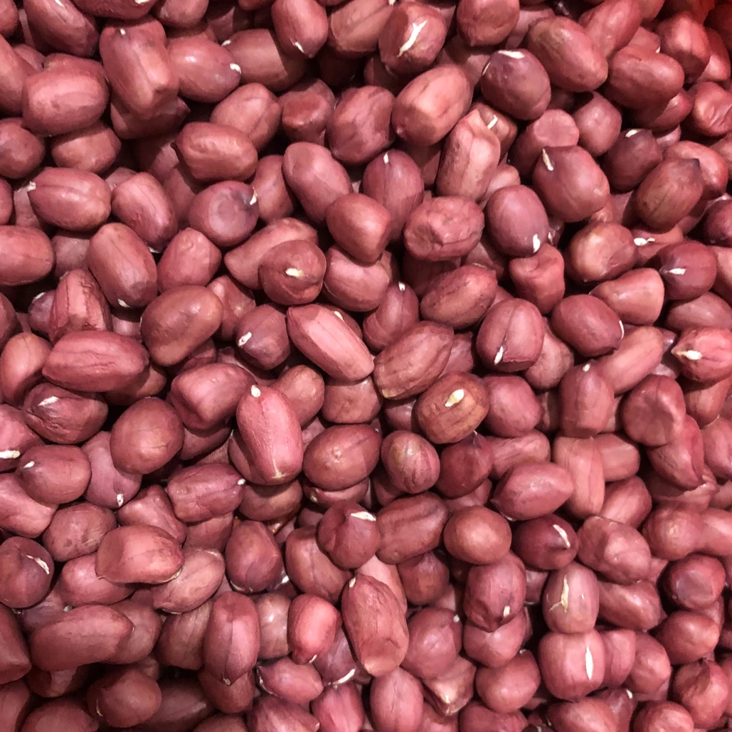 2025年红皮花生米新货