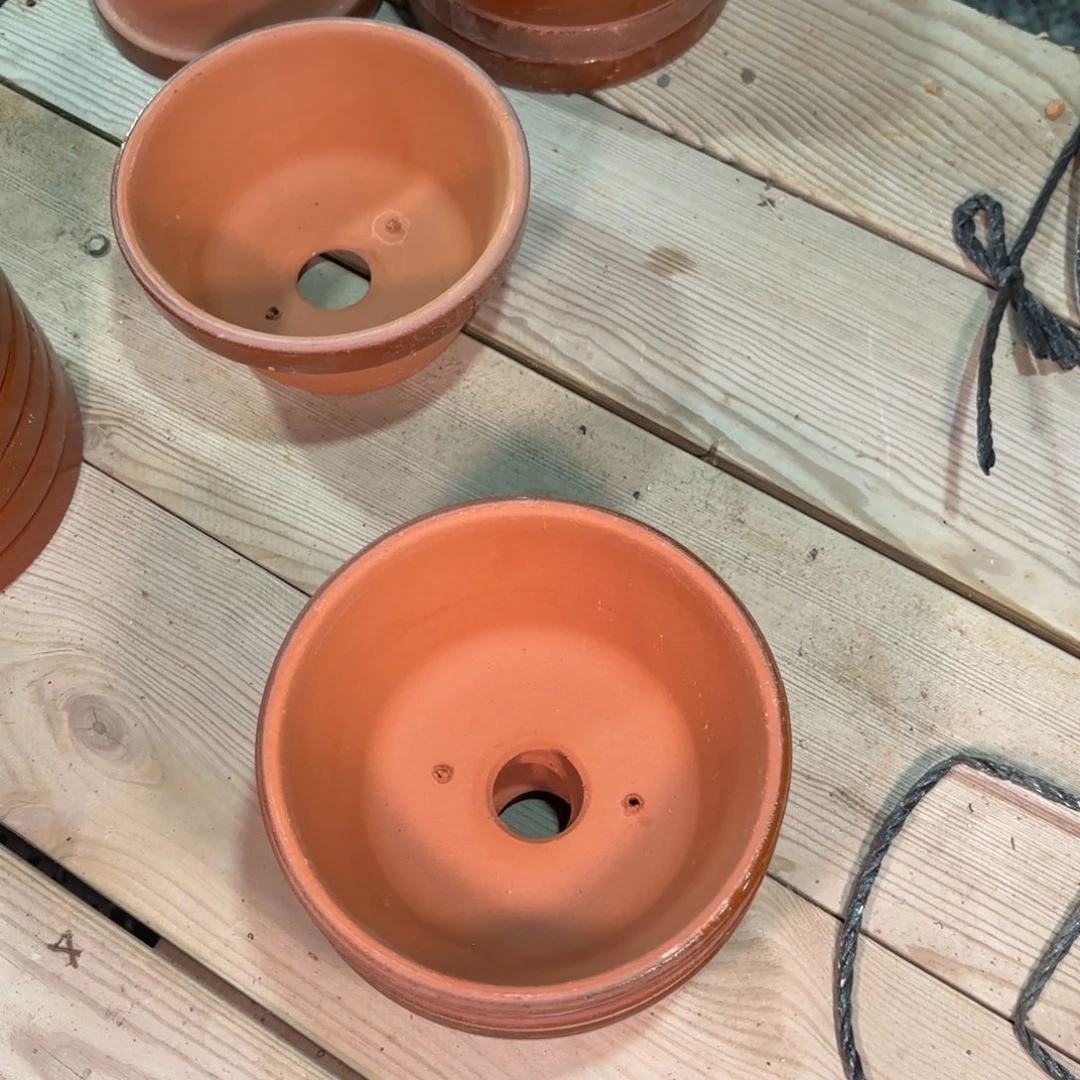 木****.全场盆景5号浅3各，打孔4