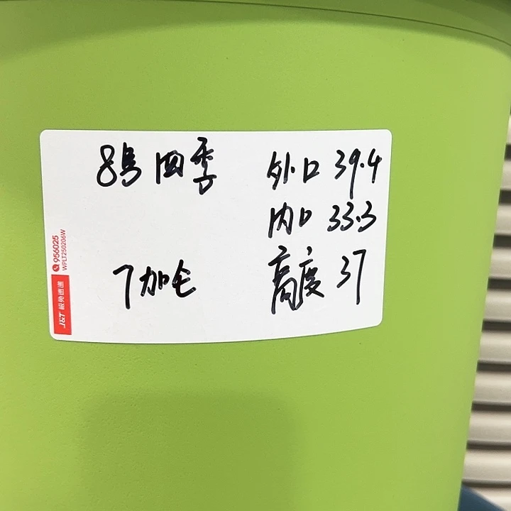 特价8号口39高37白色3只无托