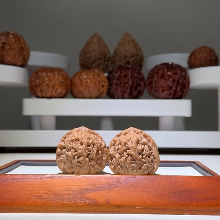 33全品白狮子三角白