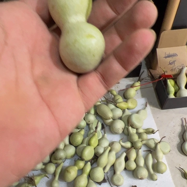 文玩葫芦的葫芦娃