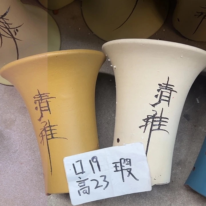 周深周深周深周深