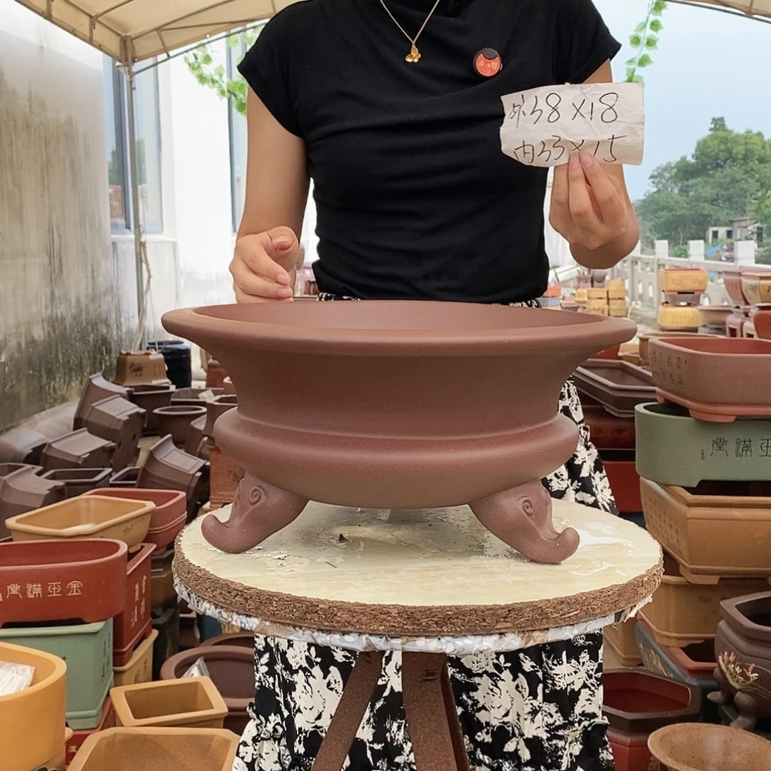 紫砂花盆紫砂花盆