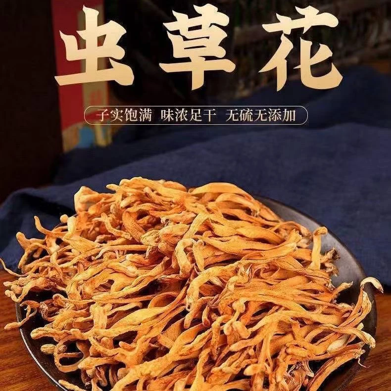 【虫草花】特产虫草花