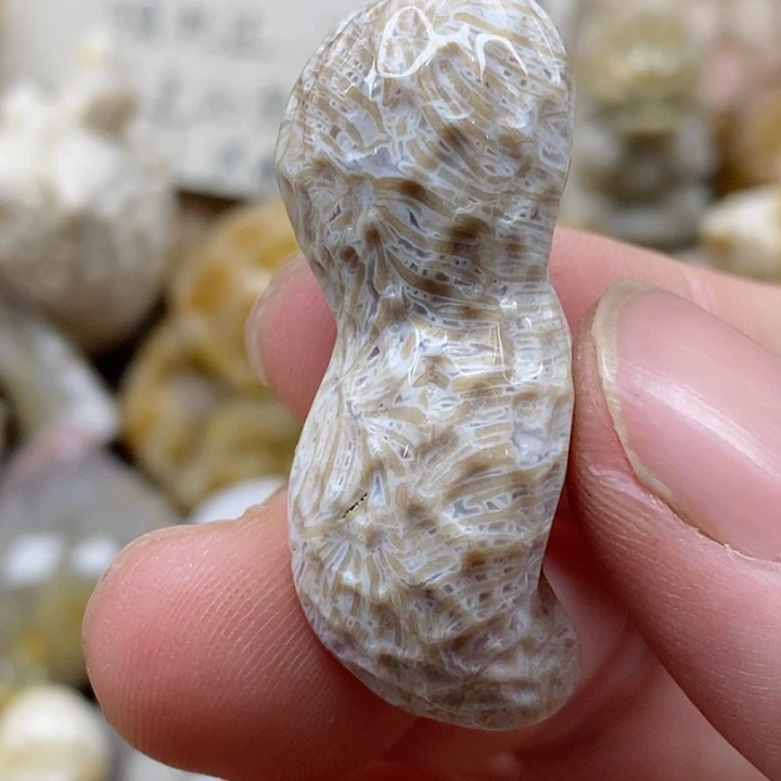 颈饰未镶嵌硅化珊瑚（珊瑚玉）