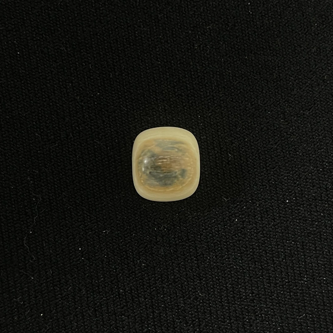 PF101 蓝眼桶珠 只做天然猛犸牙
