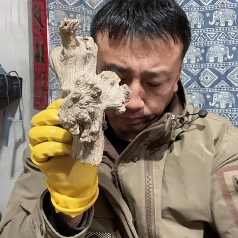 柏木木**川崖柏毛料的