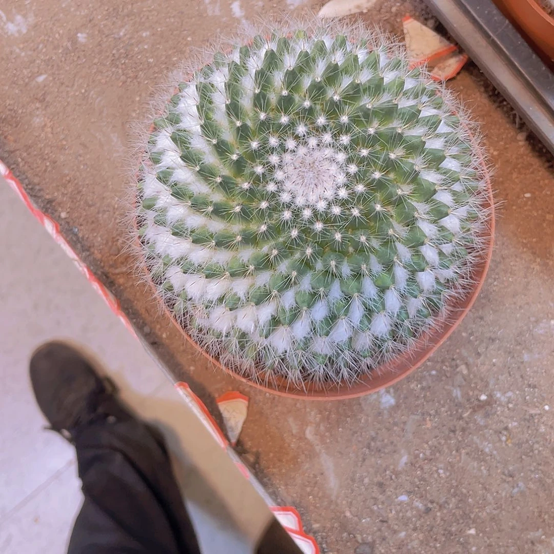 无花朵华****7顺风顺水！顺风顺水