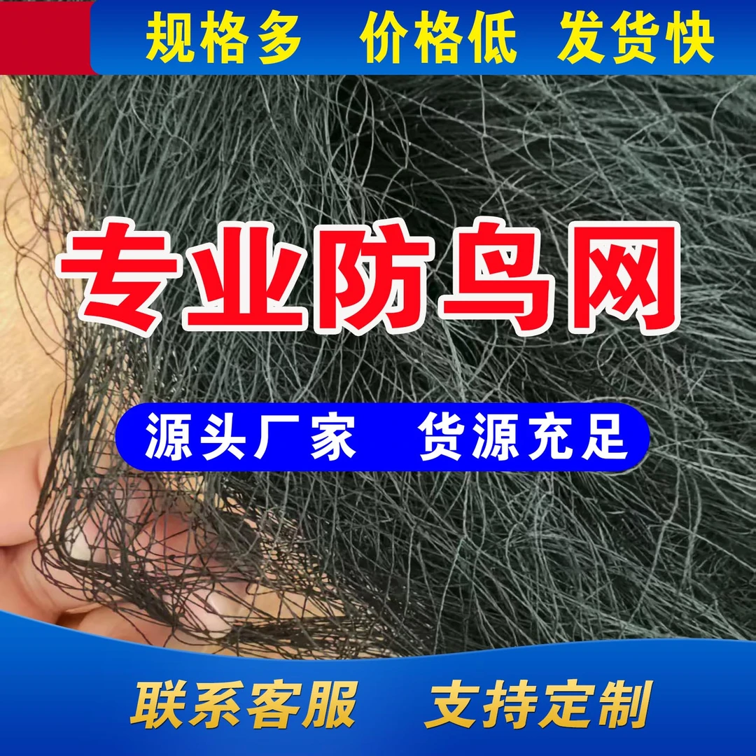 农用种植防护网果园防乌网果树防护防鸟网源头货源一件批发