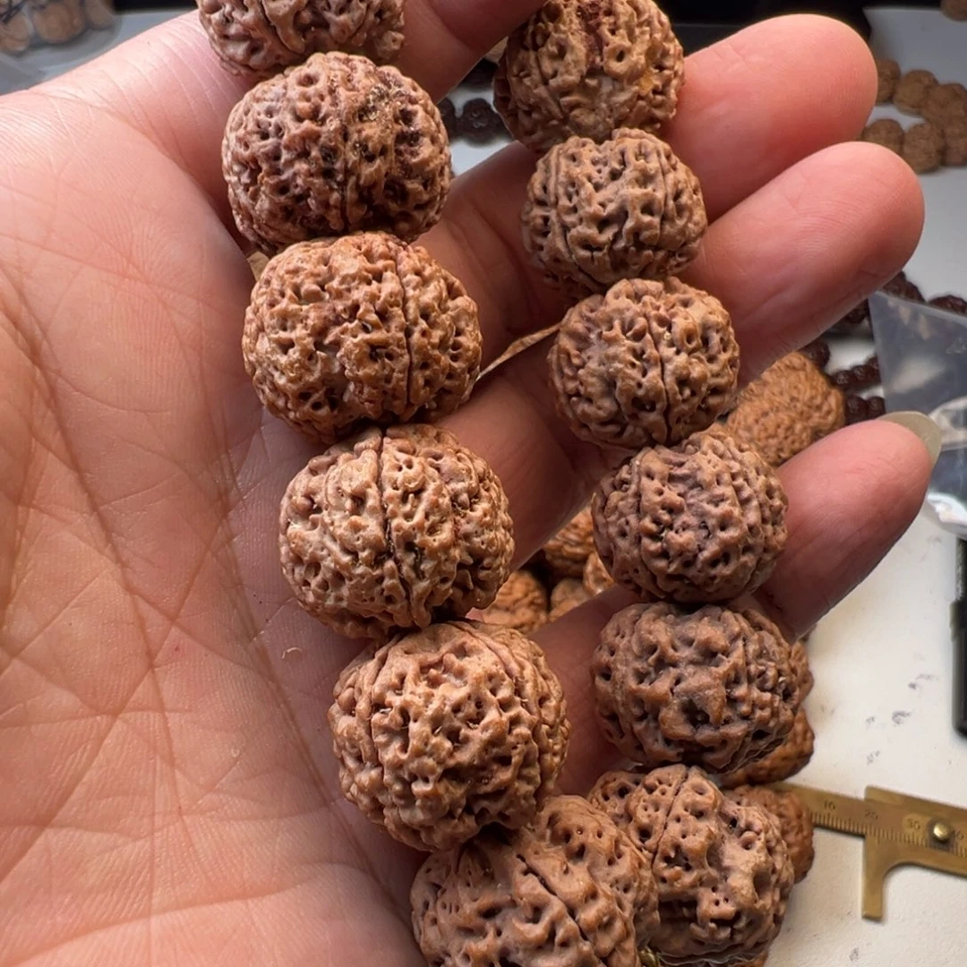 吊坠金刚菩提5瓣20粗筋梅花