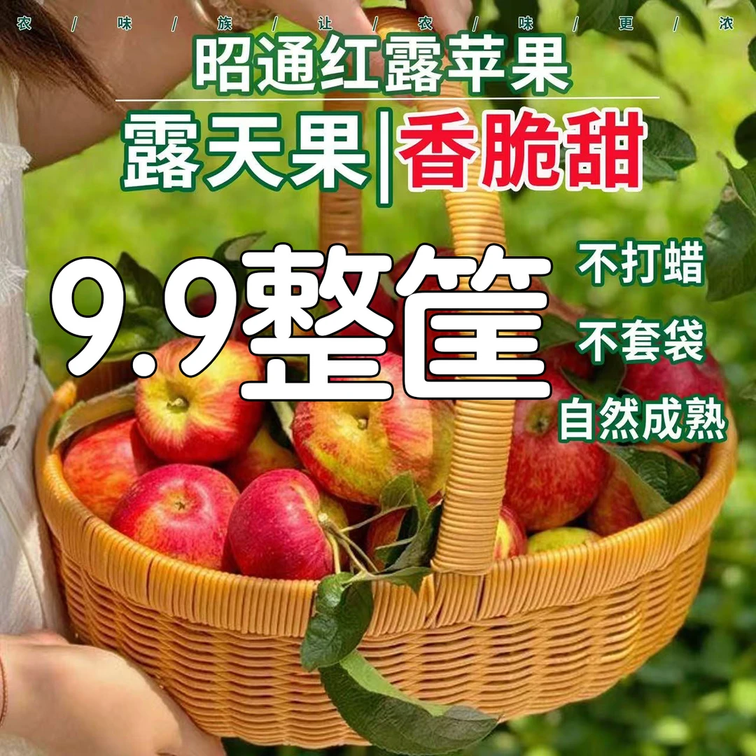 整箱新鲜云南昭通高原红露丑苹果头茬高原现摘现发脆甜多汁