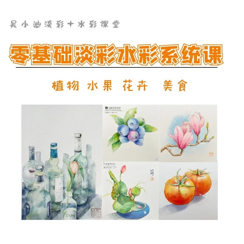 吴小迪水彩 零基础植物花卉美食系统课水彩+淡彩