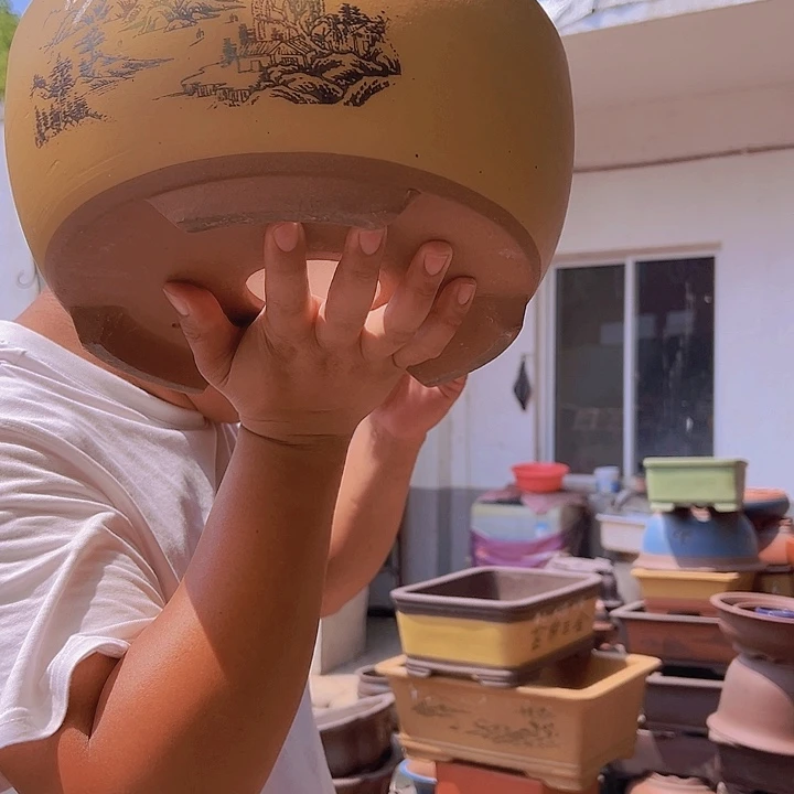 紫砂花盆紫砂花盆