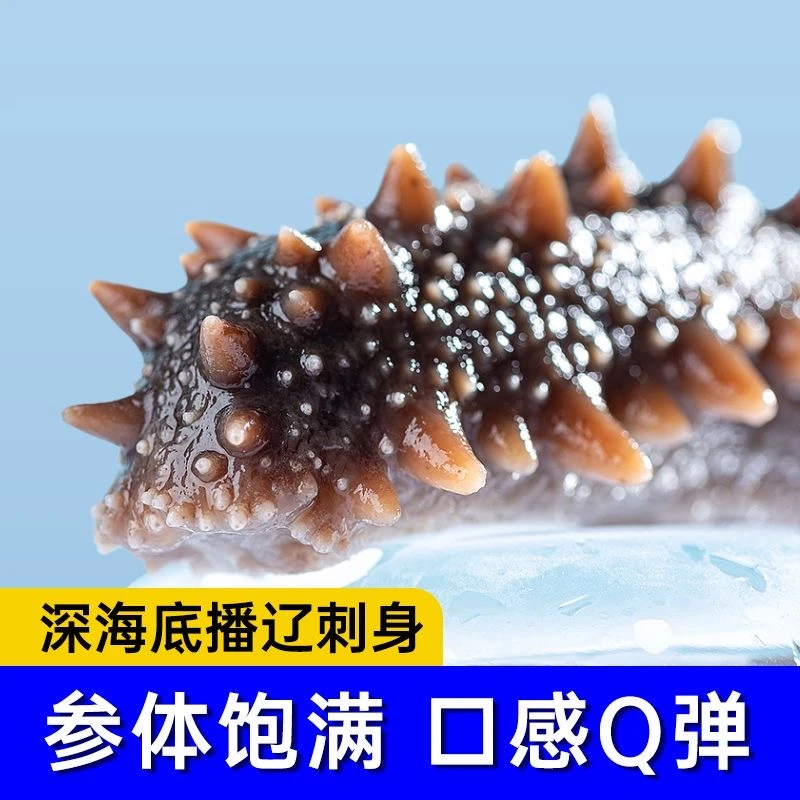 元宵节大促 口感Q弹 肉质厚实 五斤只要396