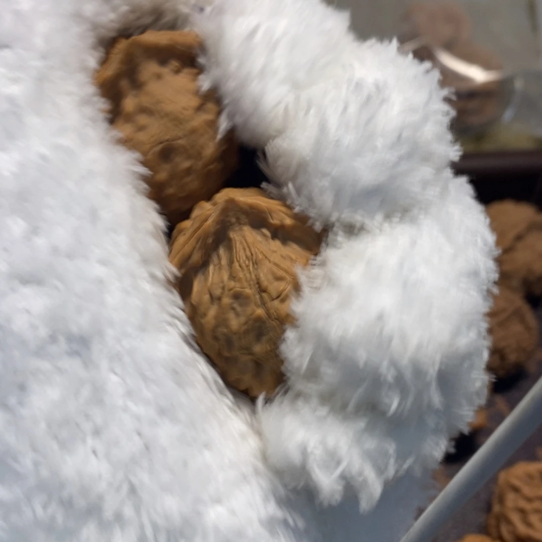 楠*秦岭森林中发现过几株