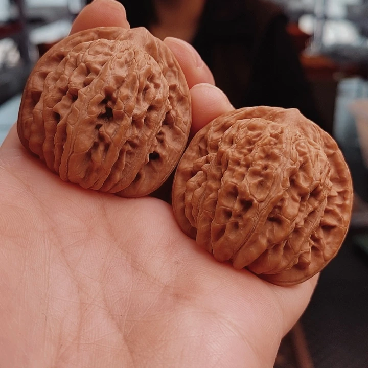 核桃41尺汉高楼核桃