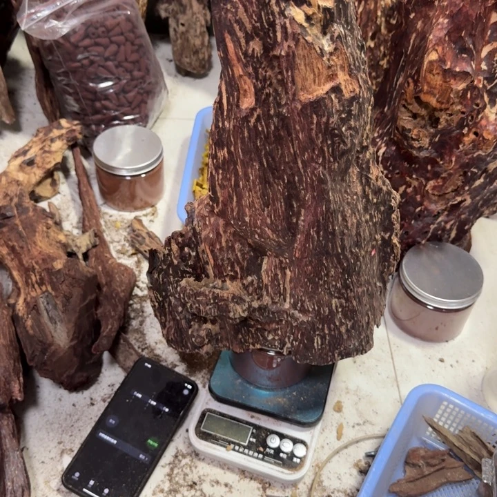 花梨木类奔**天海南红降花梨公