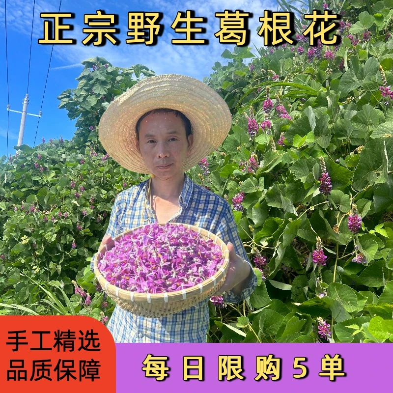 2025年新花上市野生葛根花天然晒干葛花不熏硫葛藤花袋装