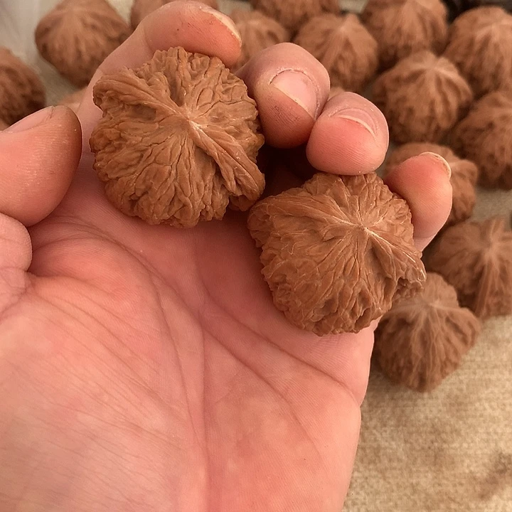 核桃自家麻核桃磨盘不打药