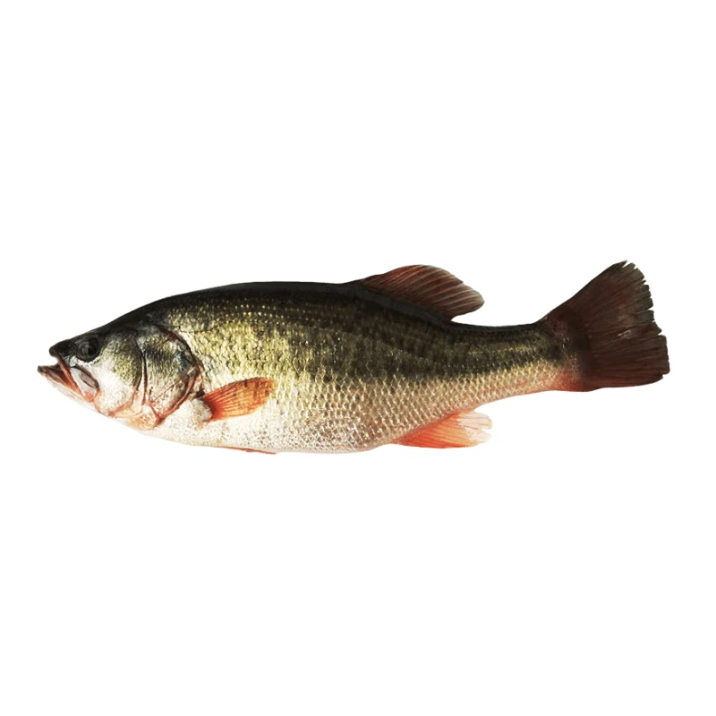 鲈鱼约600g/份1