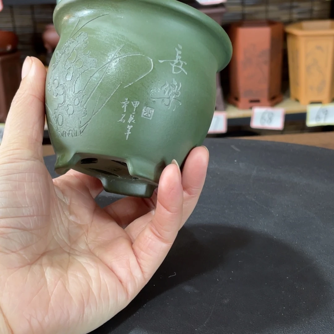 紫砂花盆在哪都要