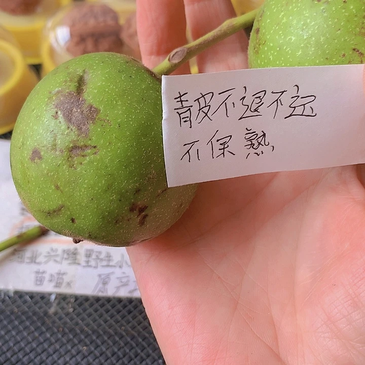 G***Q吊坠文玩核桃盘山