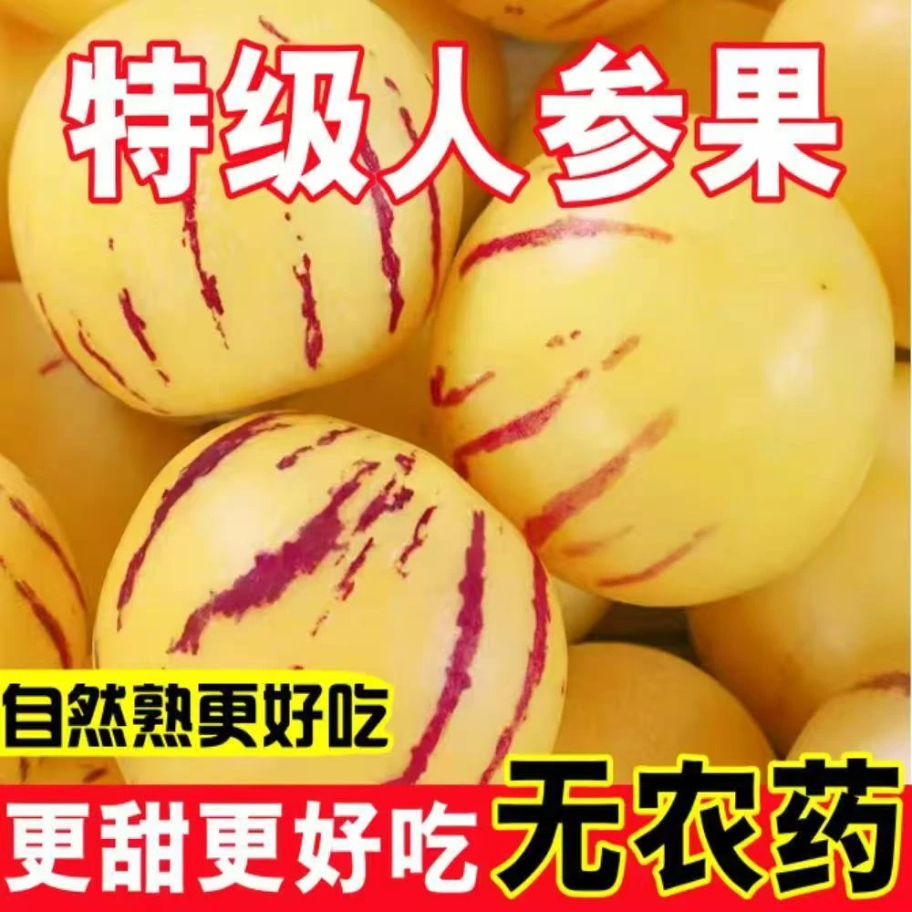 云南人参果新鲜成熟黄肉圆大果清甜多汁当季水果