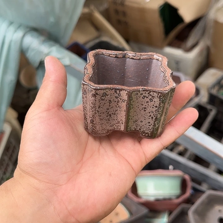 这一期太有意思咯嘛啊太