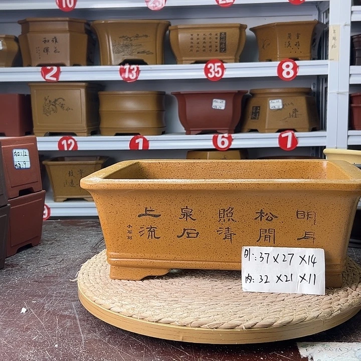紫砂花盆蛇年大吉