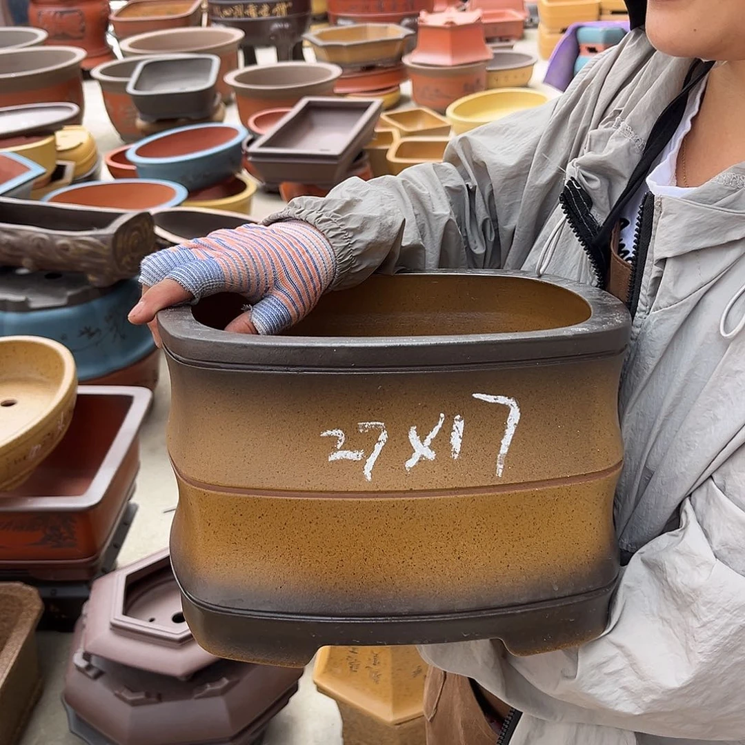 紫砂花盆盆景艺术